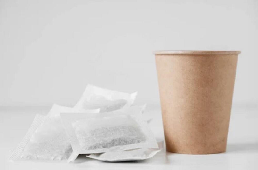Paper Cups and Tea Bags Found to Contain Microplastics - Study