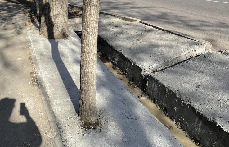 В центре Алматы забетонировали деревья