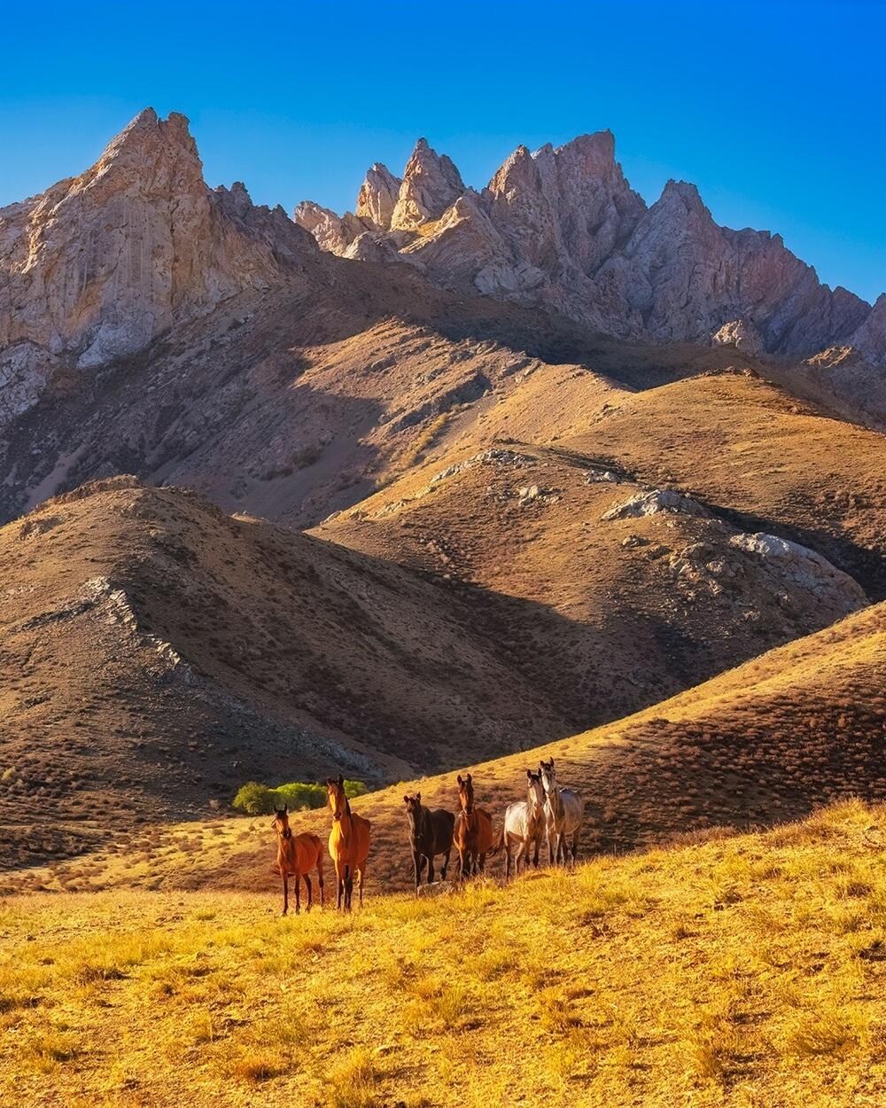 Фотограф показал Келиншектау: горы, которые выглядят как другая вселенная. Фото: dots_foto/instagram