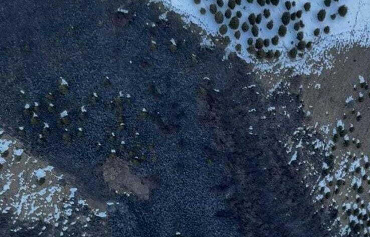 В Иле-Алатауском нацпарке тушат пожар 
