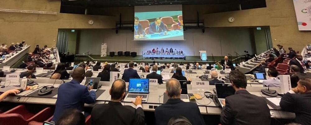 Kazakhstan Actively Participated in the 11th Session of the Conference of the Parties to the WHO Framework Convention on Tobacco Control