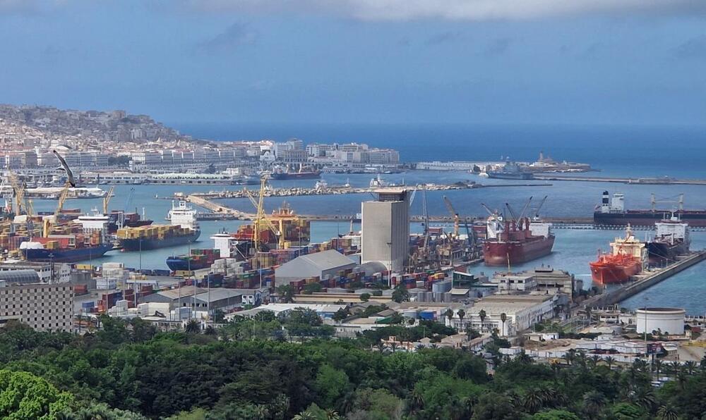 Kazakhstan Exported 390 Thousand Tons of Wheat to Algeria