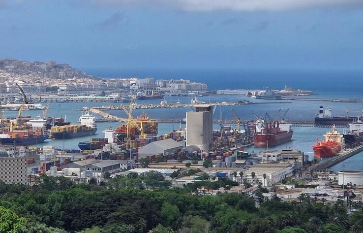 Kazakhstan Exported 390 Thousand Tons of Wheat to Algeria