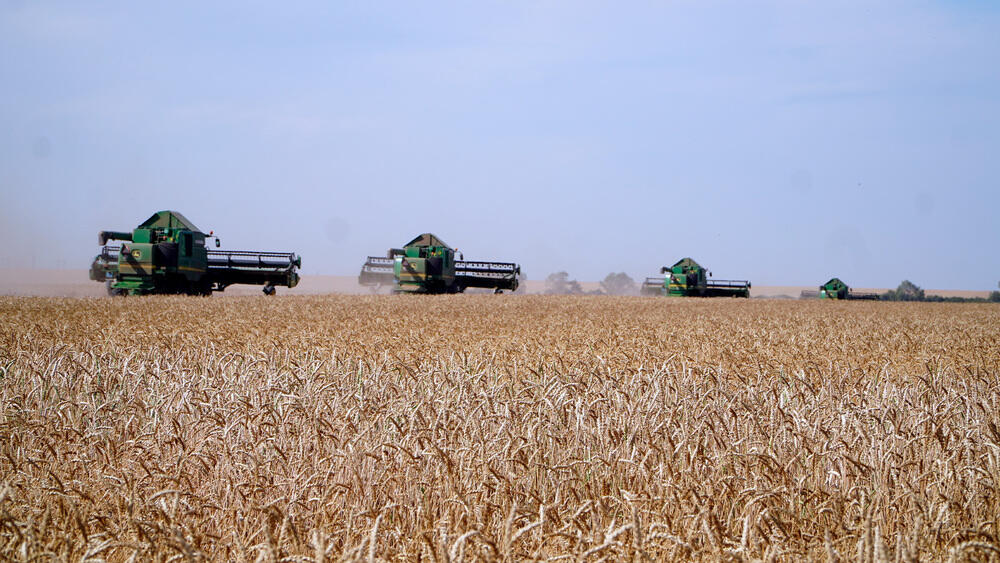 Ақмола облысы астықтың жалпы жиналымы бойынша елімізде көшбасшылар қатарына шықты
