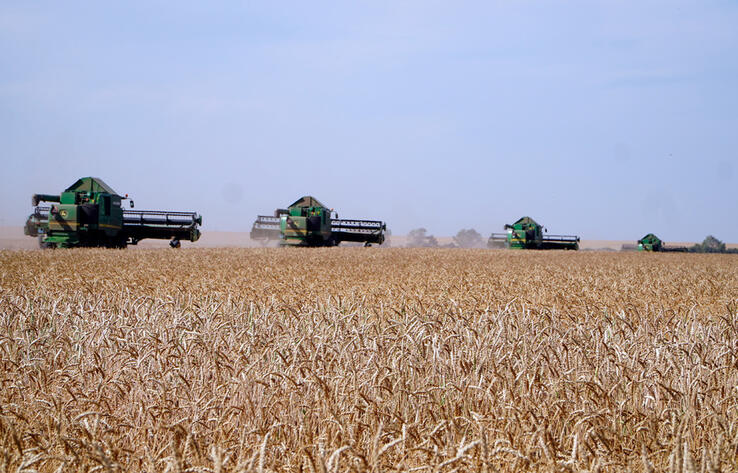 Ақмола облысы астықтың жалпы жиналымы бойынша елімізде көшбасшылар қатарына шықты