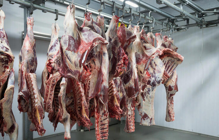 ІҚМ етін әкетуге квоталар енгізілді