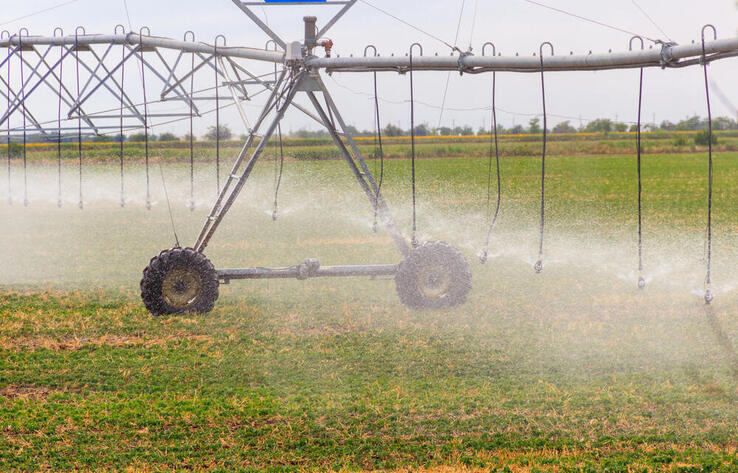 Limits on Planting Water-Intensive Crops Revised in Turkistan Region