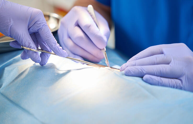 Использование пенсионных на пластические операции отменили в Казахстане