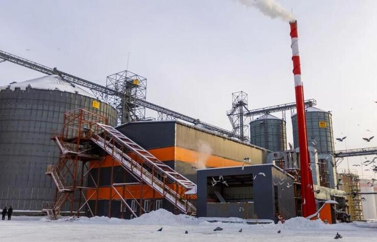 В Усть-Каменогорске открылся новый маслоэкстракционный завод ALTAI MAI
