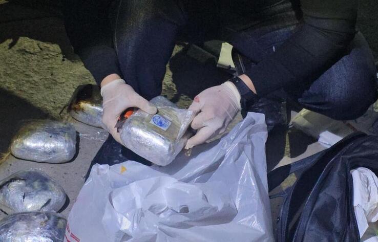 Крупную партию героина и опия изъяли пограничники в Жамбылской области