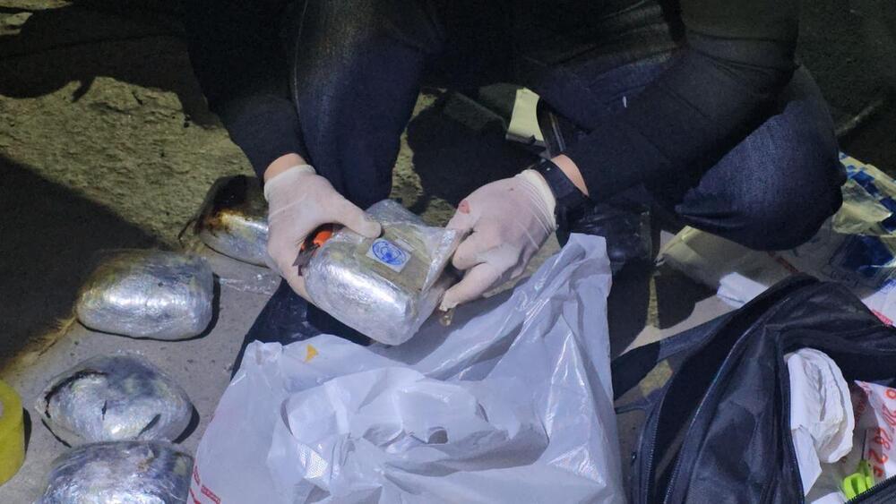 Крупную партию героина и опия изъяли пограничники в Жамбылской области