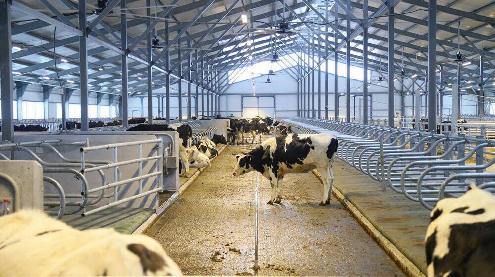 Крупную молочно-товарную ферму открыли в Восточно-Казахстанской области