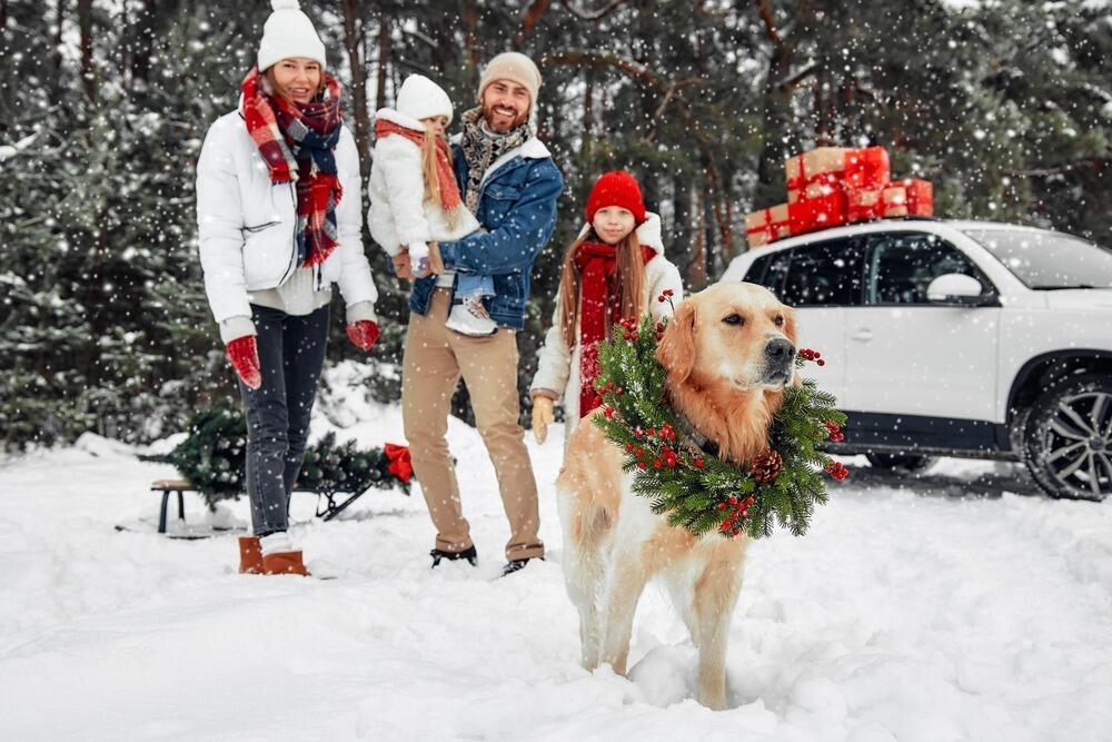 Как казахстанцы отдохнут на Новый год
