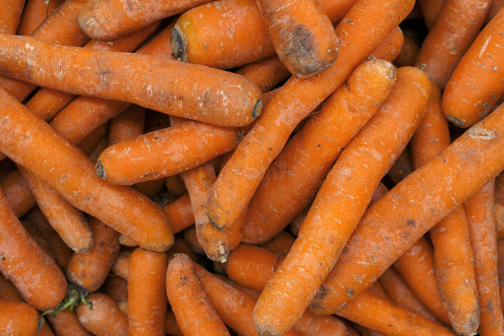 Запрет на вывоз моркови планирует ввести Казахстан