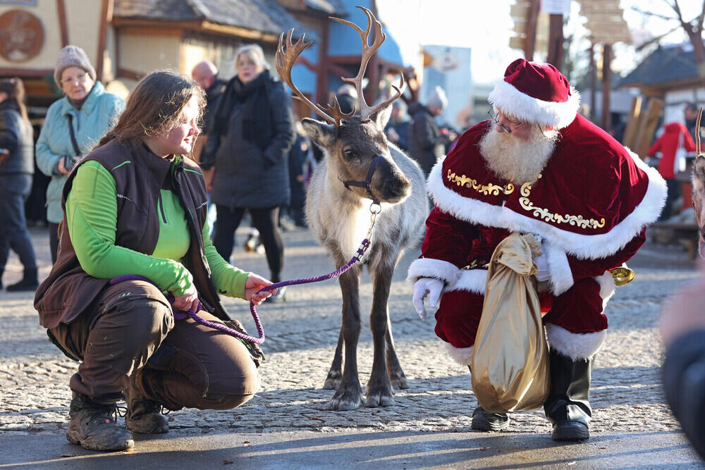 Catholics around the world celebrate Christmas. Images | picture alliance/dpa/Getty Images
