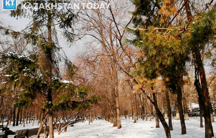 Сейсмоопасные участки в Казахстане будут отведены под парки и скверы