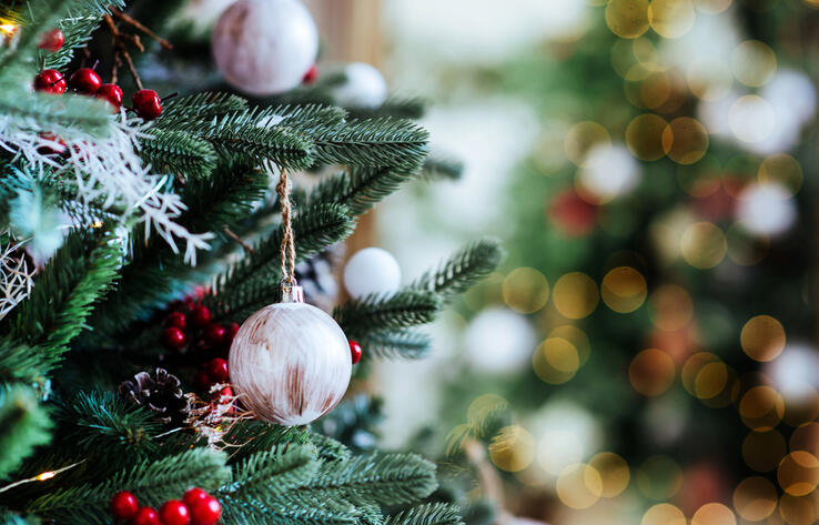 В МИД состоялся детский новогодний утренник
