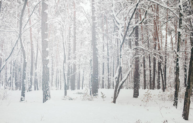 Kazakhstan to brace for snowstorms and fog on Sunday