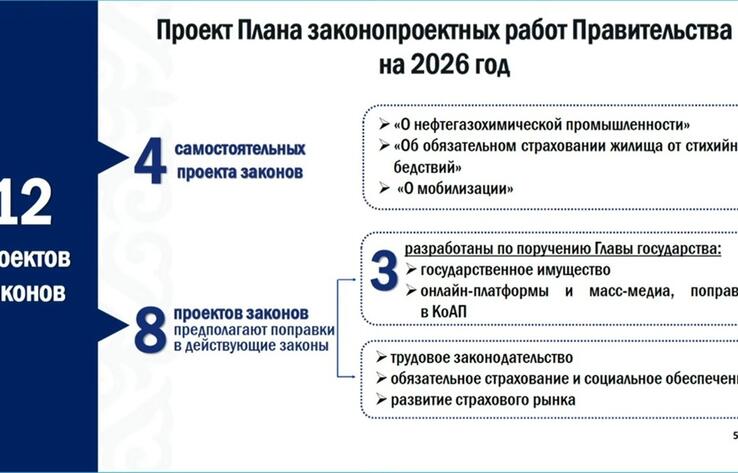 План законопроектных работ на 2026 год представили в правительстве
