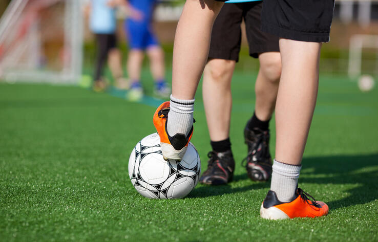 В Казахстане появится альтернатива ArtSport