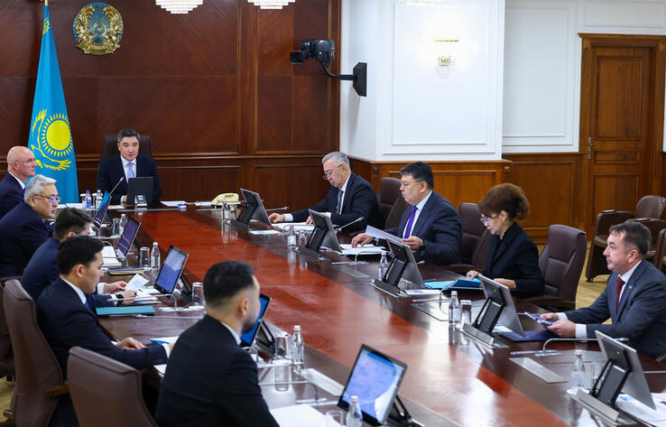 Head of State consistently emphasizes the priority of mass and professional sports: Government reviewed preparations for the 25th Winter Olympic Games in 2026