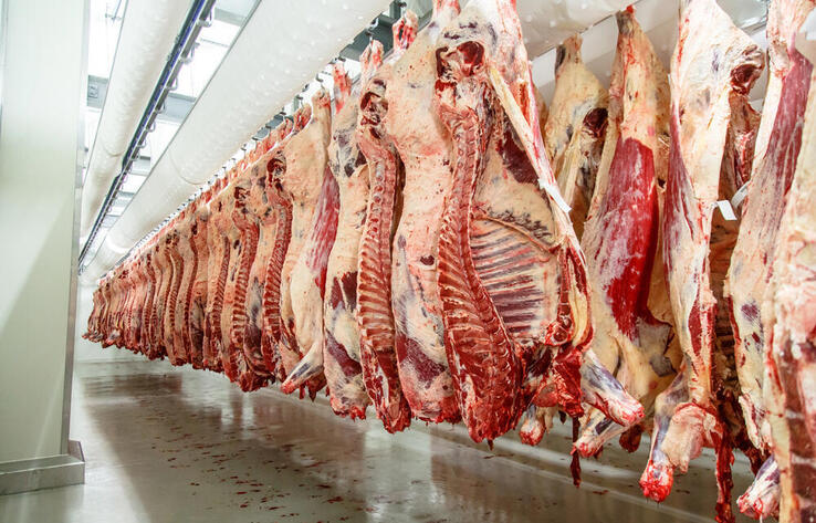 Казахстан на полгода продлил ограничения на вывоз говядины