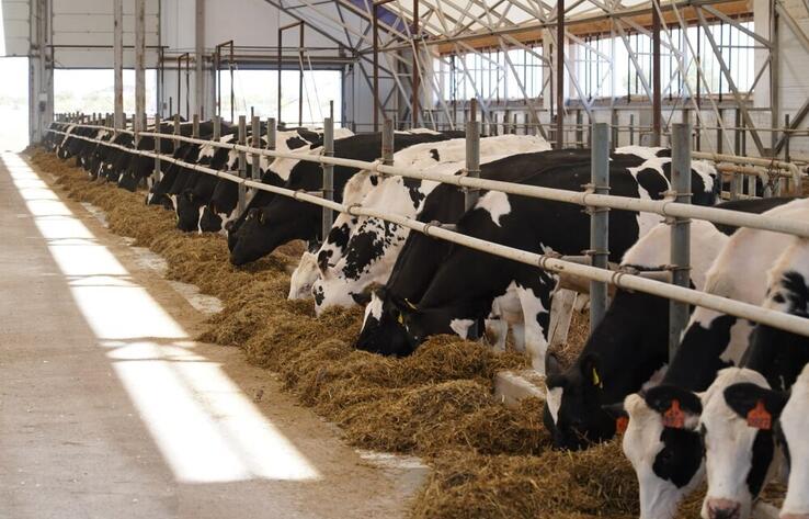 Алматы облысында инвестиция көлемі 88 млрд теңгеден асатын үй жануарларына арналған азық өндіру зауыты салынады