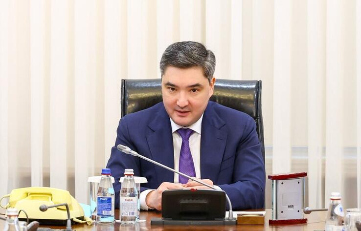 Бюджет не должен финансировать "элитные" частные школы - Бектенов