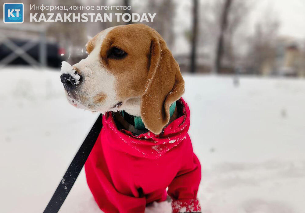 Kazakhstan weather forecast for Jan 7