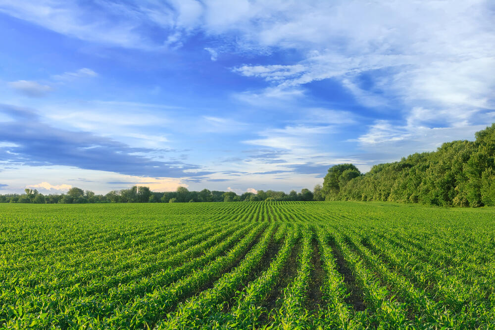 Земли на 82 млн тенге возвращены в госсобственность в Акмолинской области