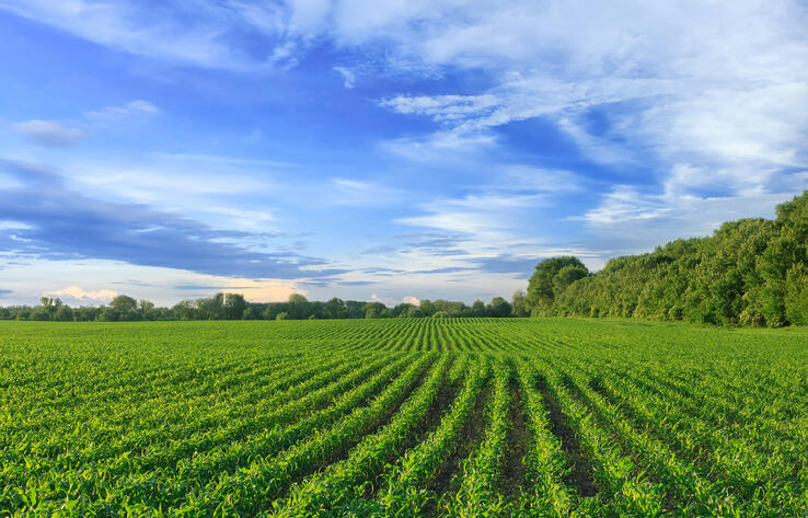 Земли на 82 млн тенге возвращены в госсобственность в Акмолинской области