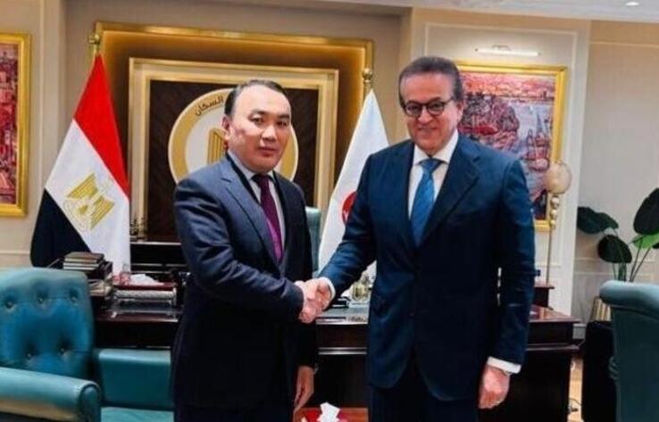 Kazakhstan and Egypt Intend To Expand Cooperation In The Field Of Healthcare