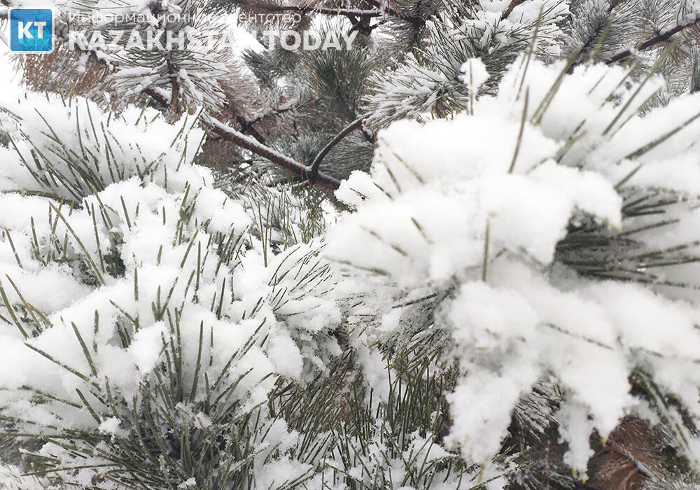 Severe frost to grip Kazakhstan's east on Jan 17