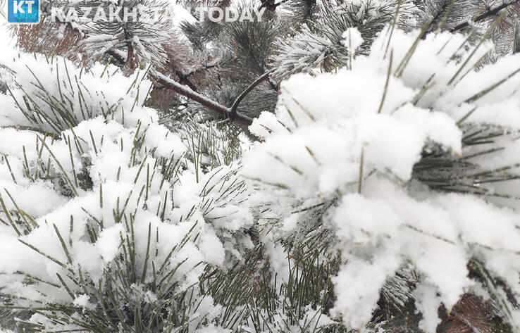 Severe frost to grip Kazakhstan's east on Jan 17