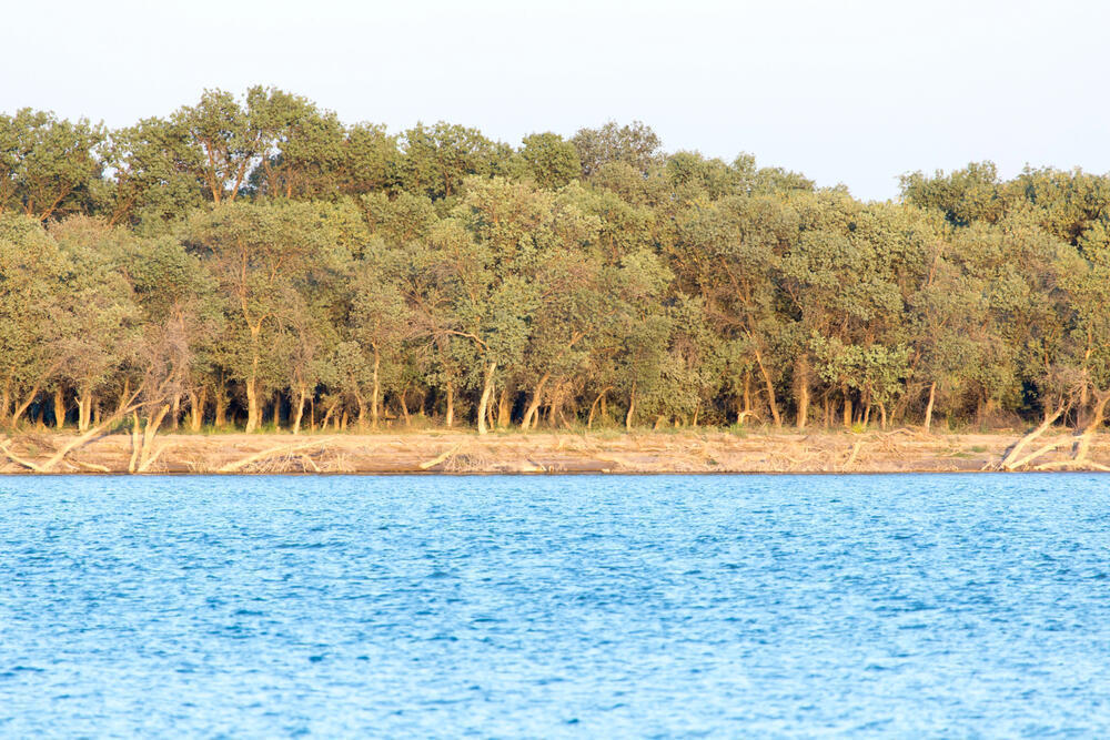Автоматизированные гидропосты на Сырдарье намерены установить Казахстан и Узбекистан