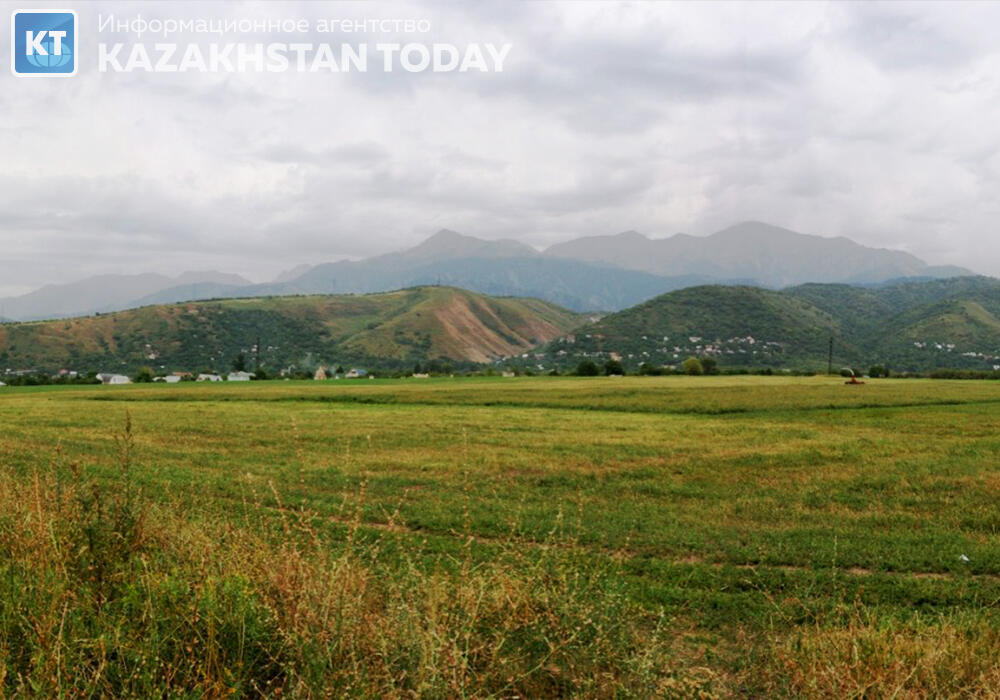 Дефицит пастбищ остается критическим, несмотря на возврат миллионов гектаров - сенатор 