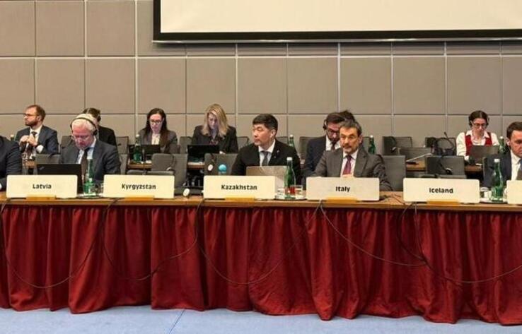 Қазақстандағы конституциялық реформалар ЕҚЫҰ-да таныстырылды