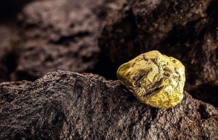 ОПГ в Семее похитила золото на 4 млрд тенге, троих осудили