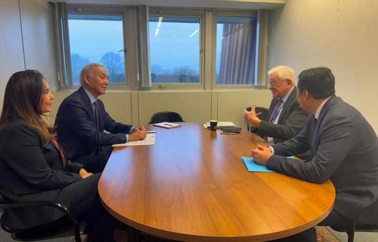 Constitutional Reforms in Kazakhstan Presented at the Parliamentary Assembly of the Council of Europe