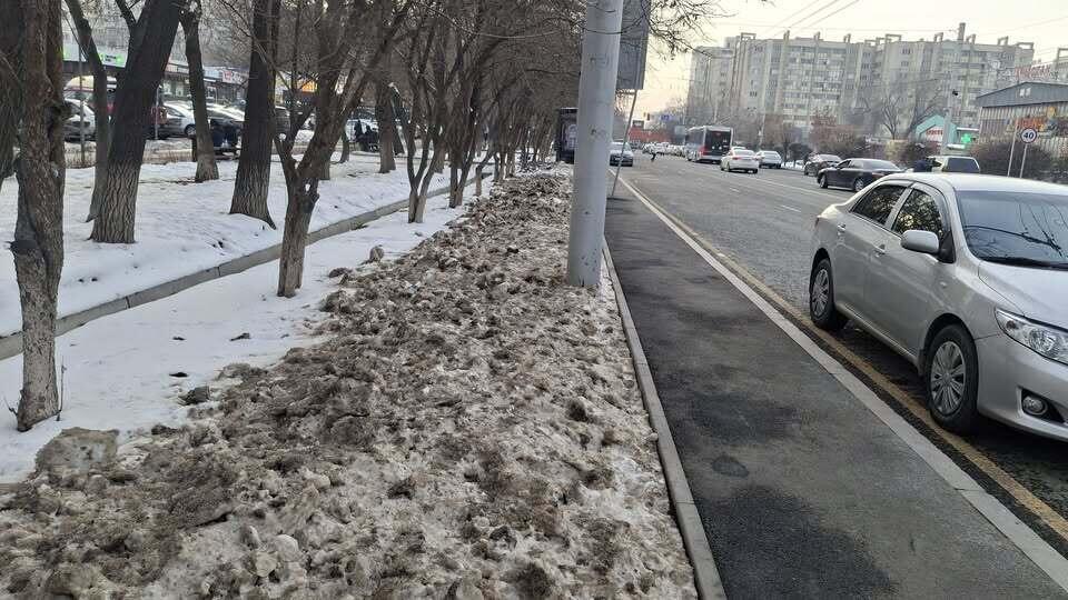 В Алматы грязный снег с реагентами сбрасывают на газоны и под деревья