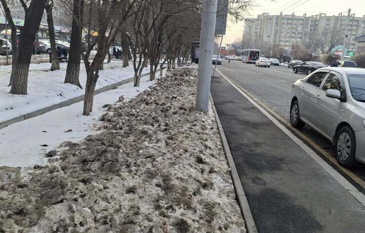 В Алматы грязный снег с реагентами сбрасывают на газоны и под деревья