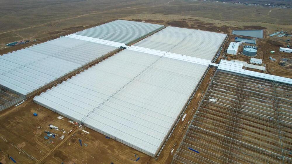 Түркістан облысында еліміздегі ең ірі өнеркәсіптік жылыжай кешені іске қосылды