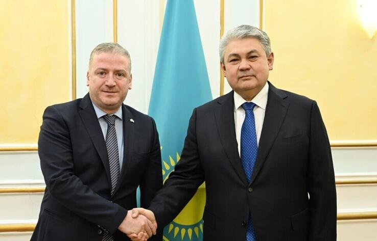 Қазақстанның Сыртқы істер министрі Грузияның Елшісімен кездесті