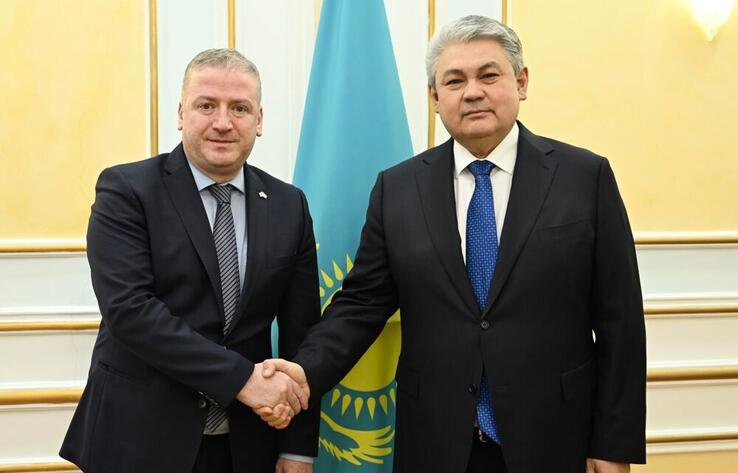 Kazakh Foreign Minister Met with the Ambassador of Georgia