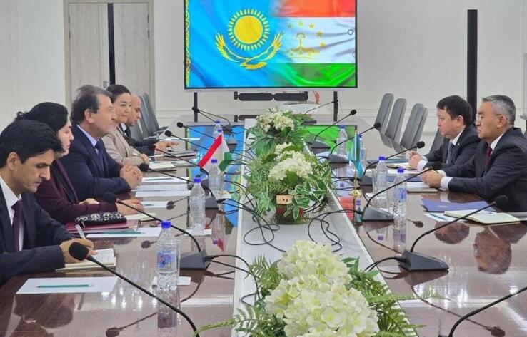 Қазақстан мен Тәжікстан денсаулық сақтау саласындағы ынтымақтастықты нығайтуда