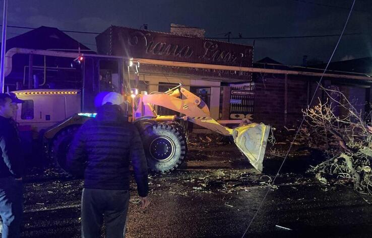 В Конаеве сильный ветер повредил кровли домов и повалил деревья 
