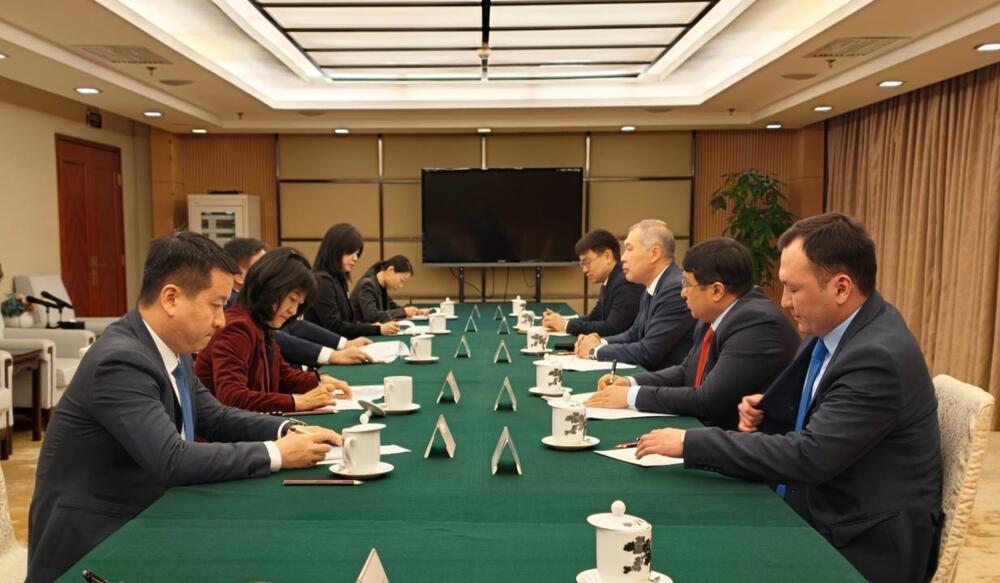 Қытай Парламенті Қазақстандағы конституциялық реформалар туралы хабардар етілді