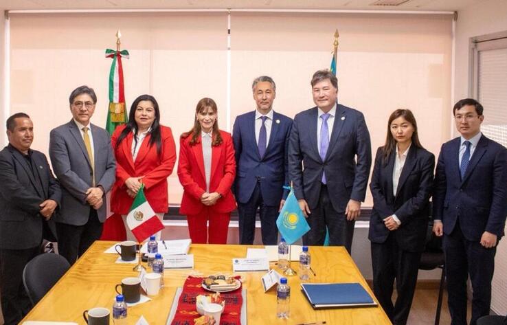 Constitutional Reforms in Kazakhstan Presented to Deputies of the General Congress of Mexico