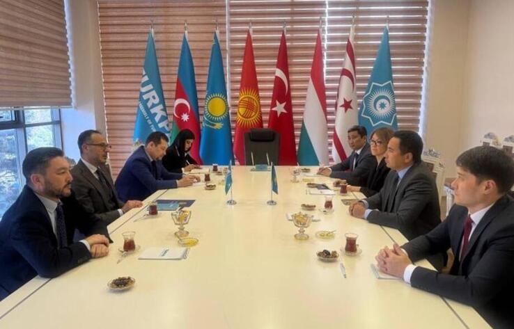 ТүркПА Қазақстандағы референдумды бақылайды