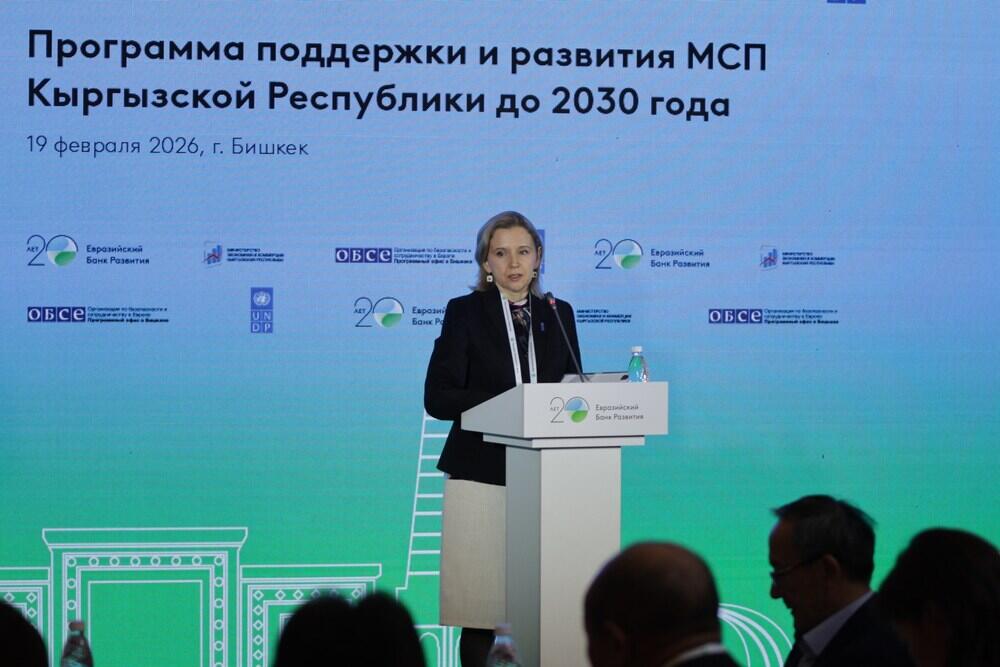 В Кыргызстане при поддержке ЕАБР, ПРООН и ОБСЕ разработают программу развития МСП до 2030 года